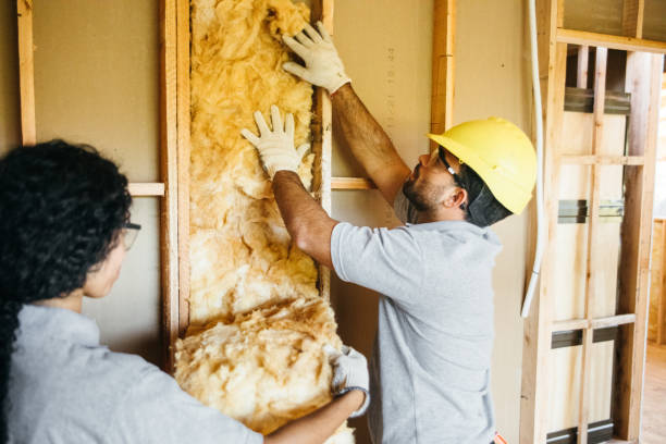 Range of Insulation Solutions in Oldsmar, FL