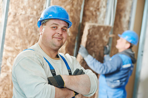 Best Energy-efficient Insulation  in Oldsmar, FL